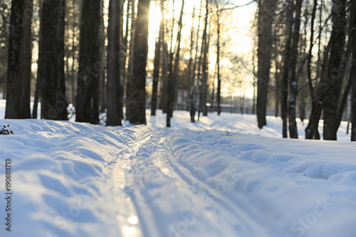 Winter landscape snow covered expanses. A park in the winter in 