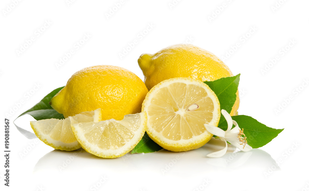 Lemons tree flower and a lemons isolated on white background Lemons tree flower and a lemons isolated on white background