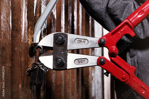 Two teenage burglars breaking in basement cellar with 30 inch bolt cutters