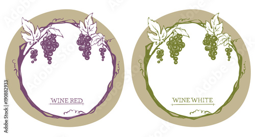 Vine label with grapes / Vector illustration, set floral design element