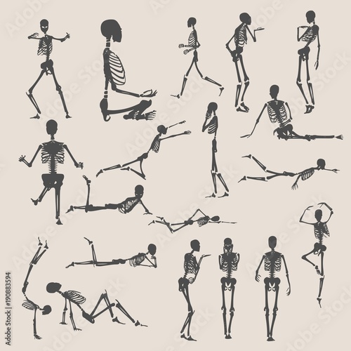 Human skeleton collection. Halloween party design. Silhouettes in various poses