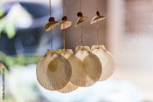 Hanging seashells decoration. Shells Mobile Hanging.