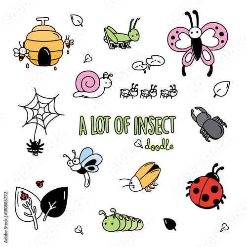 Colorful doodles of insects. Hand drawing styles of cute bugs