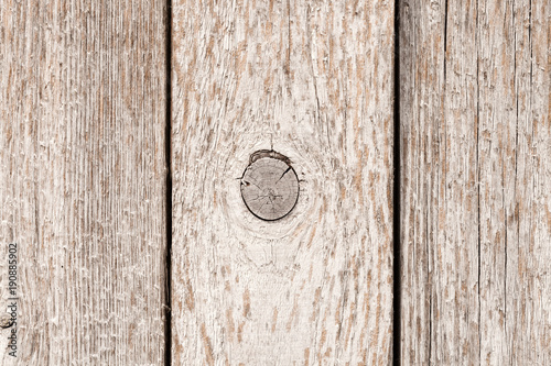 Old rustic wooden fence painted into white long time ago - outdoors close up shot