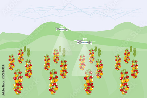 Internet of things in agriculture. Smart farm with wireless control. Vector illustration.