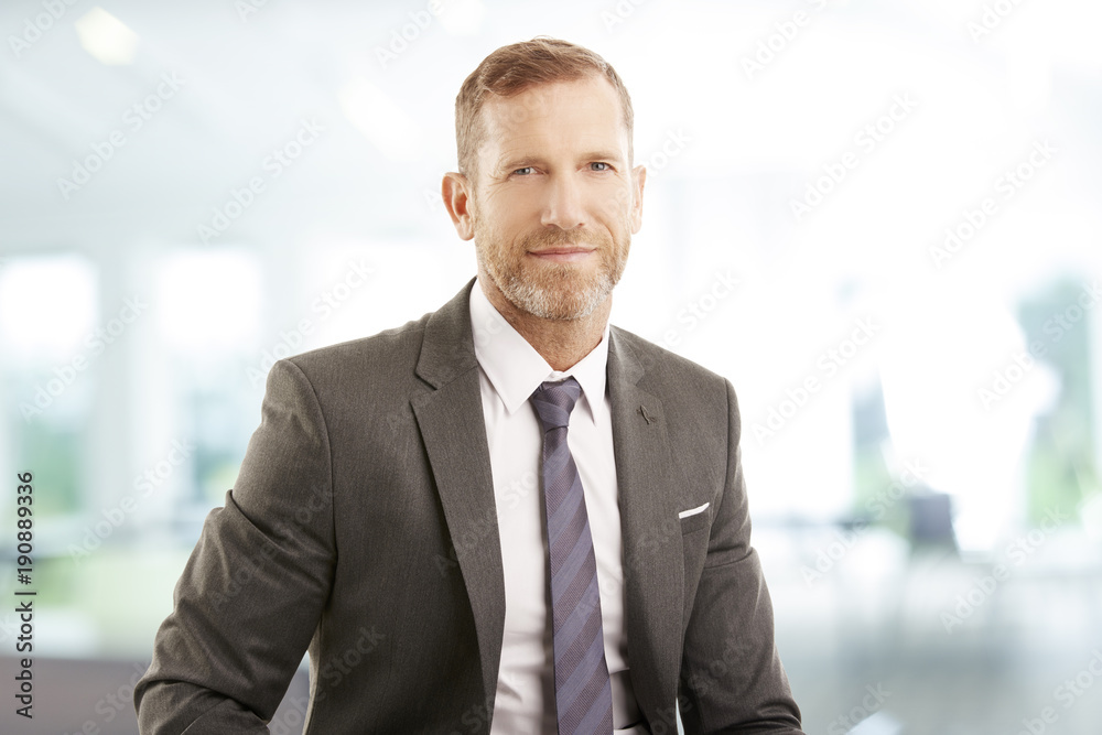 Successful businessman portrait. Middle aged financial director businessman sitting at office and looking at camera. Wearing elegant suit with tie.