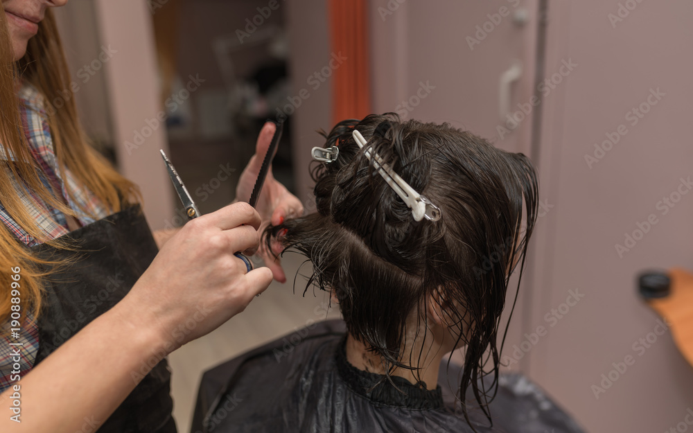Fototapeta premium A professional hairdresser cuts hair to a woman in a beauty salon. The process of creating a stylish hairstyle.