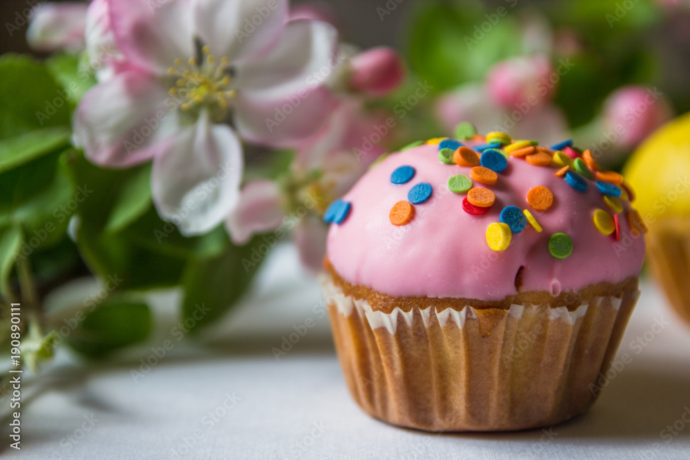 Cupcakes with blossoming apple branches, copy space Cupcakes with blossoming apple branches, copy space