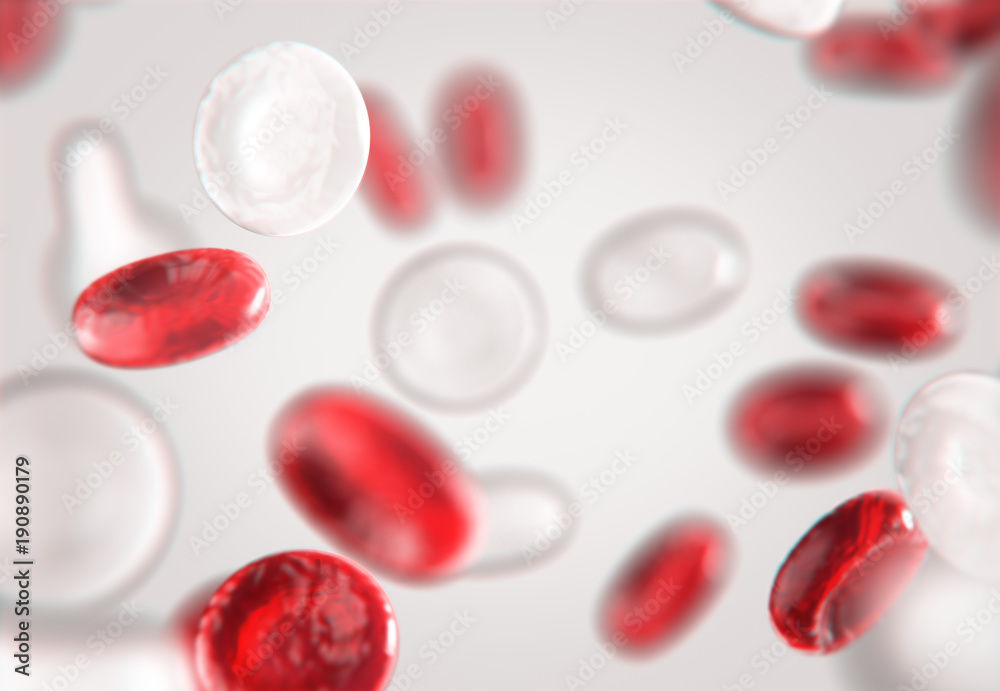Red and white blood cells,blood circulation. Red and white blood cells,blood circulation.