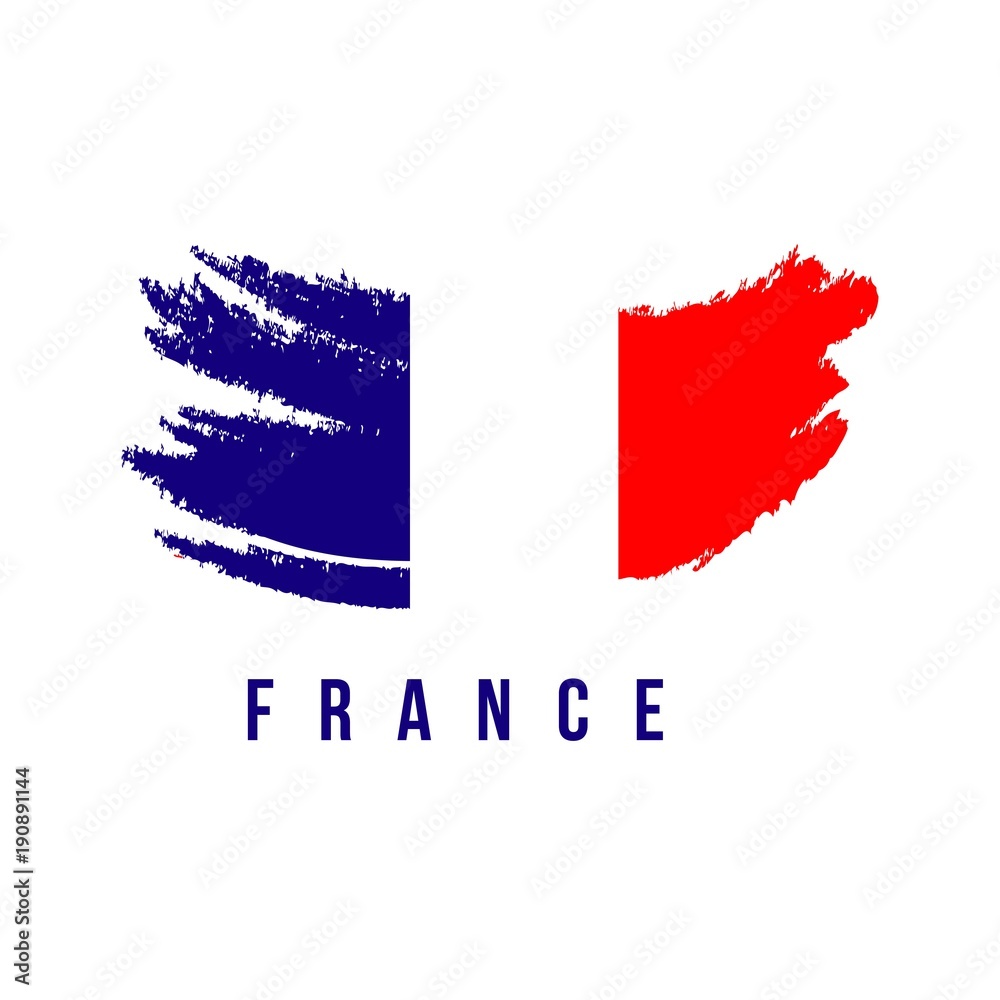 France Flag Brush Logo Vector Template Design