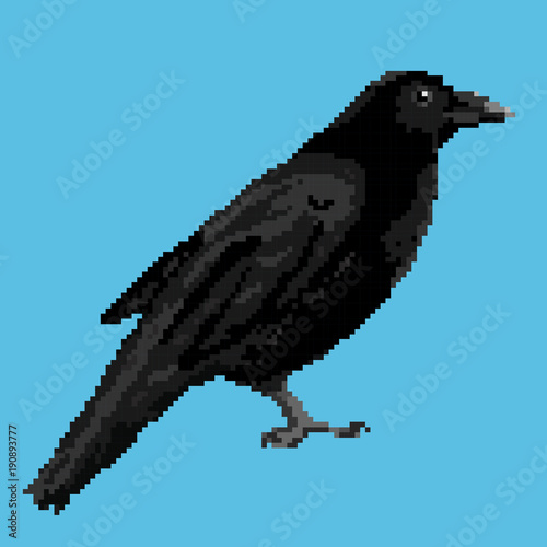 Vector illustration of a crow