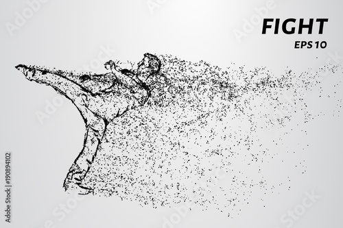 Fight of the particles. Fight man gets a kick
