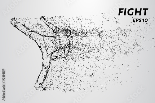 Fight of the particles. Fight man gets a kick