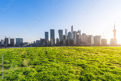 green lawn with panoramic cityscape