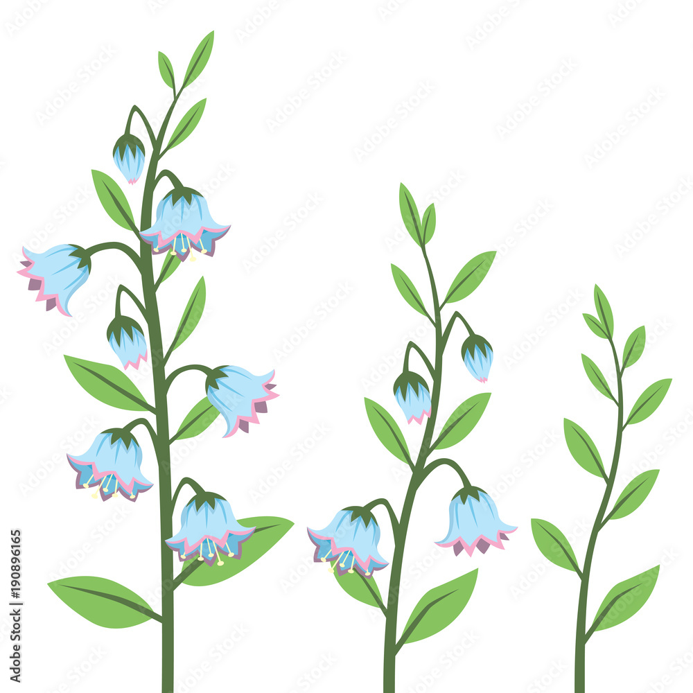 Cartoon Style Bluebell Flower Design Elements Set Isolated on White