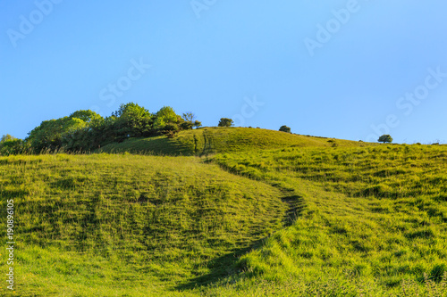 Pathway up a Green Hill