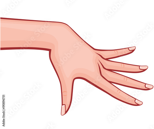 Elegant Woman Hand with Spread out Fingers with French Manicure Retro Style Vector Outlined Illustration Isolated on White