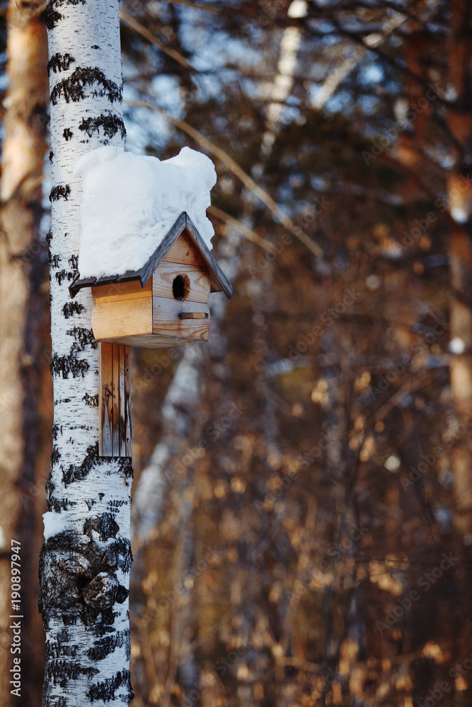 Birdhouse covered with snow hanging on a tree Birdhouse covered with snow hanging on a tree