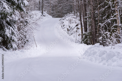 snowy road in a forest in varmland sweden © Jonas