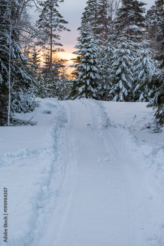 snowy road in a forest in varmland sweden snowy road in a forest in varmland sweden