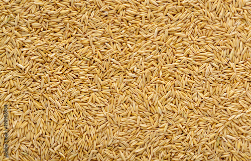 Texture of ripe oat grains