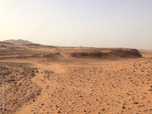 sahara