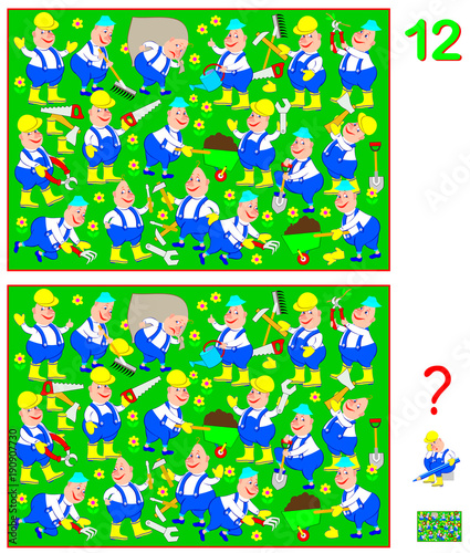 Logic puzzle game for children and adults. Need to find 12 differences. Developing skills for counting. Vector cartoon image.