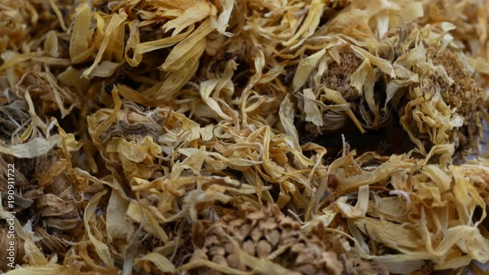 Texture background of dried flowers calendula .Homeopathy Concept Texture background of dried flowers calendula .Homeopathy Concept