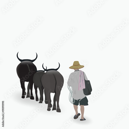  thai villager Bring the buffalo to grassland for  buffalo Eat grass in up-country of thailand,,Vector illustration eps 10