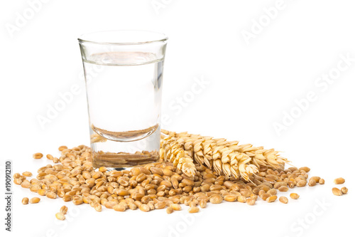 Wall Mural German hard liquor Korn Schnapps in shot glass with wheat grains and ears