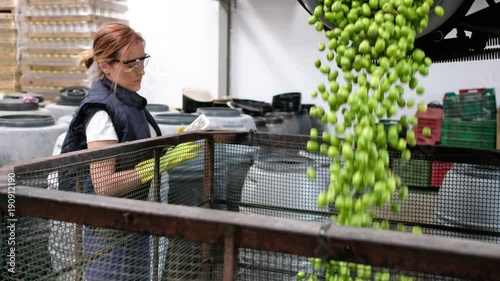 Woman controlling olives packaging in cage with forklift and barrel for transportation