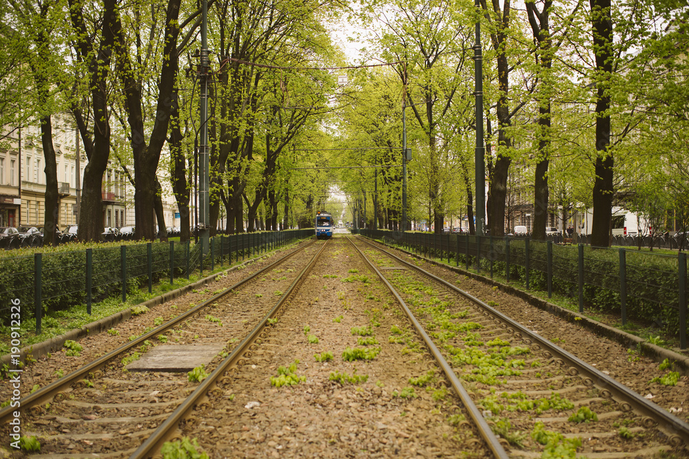 Fototapeta premium Running trams in the city center of Krakow, Poland