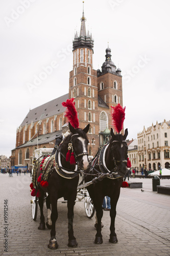 Horse carriages at main square in Krakow, Poland.