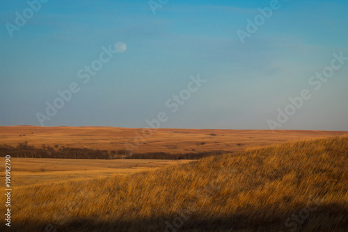 Winter Moon over the Prairie © Donovan Colegrove