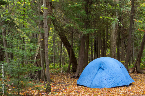 Blue Tent Pitched in Wooded Campground