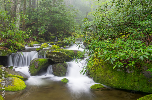 Water Cascading Down Mountains in Lush Green Forest