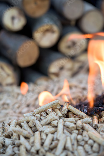 Fir Pellets in wlames