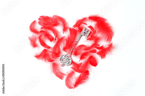 Concept for Valentine's Day. heart lined with red feathers and a silver key. Flat lay, top view, creative layout photo