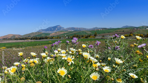 Krajobraz Sycylii