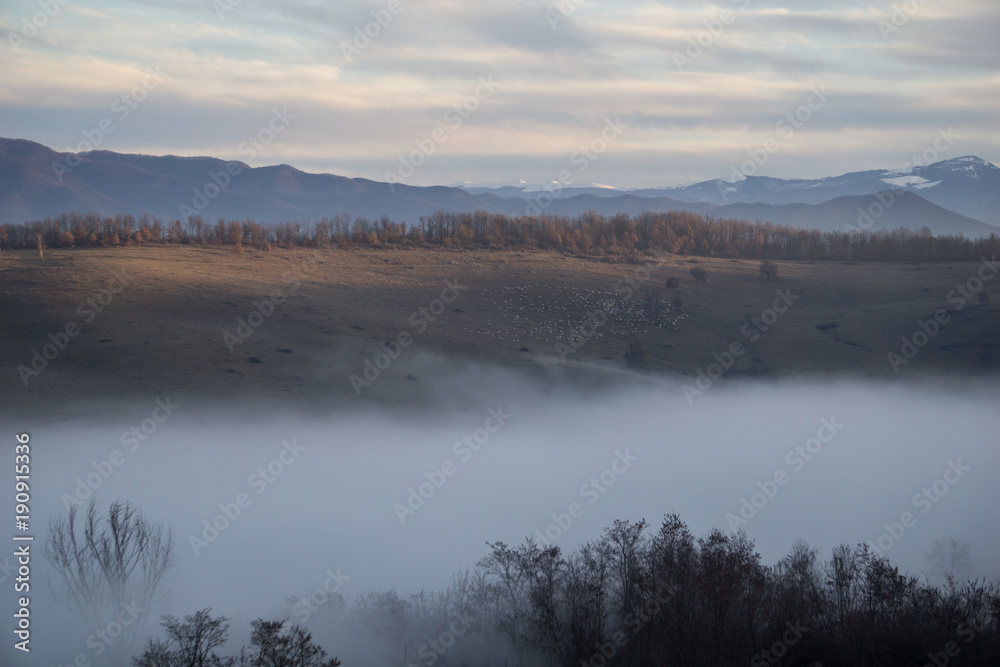A flock of sheep grazing on a hillside above a fog filled valley