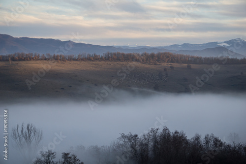 A flock of sheep grazing on a hillside above a fog filled valley