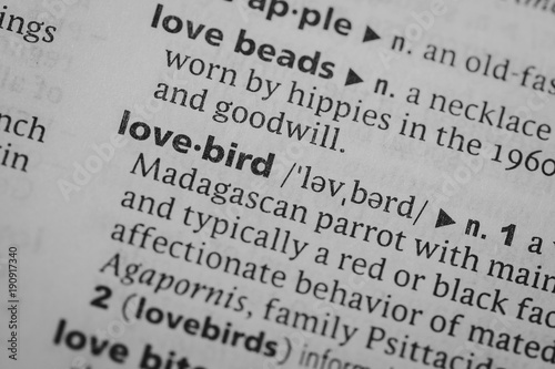 Mcro shot of word definition: Lovebird