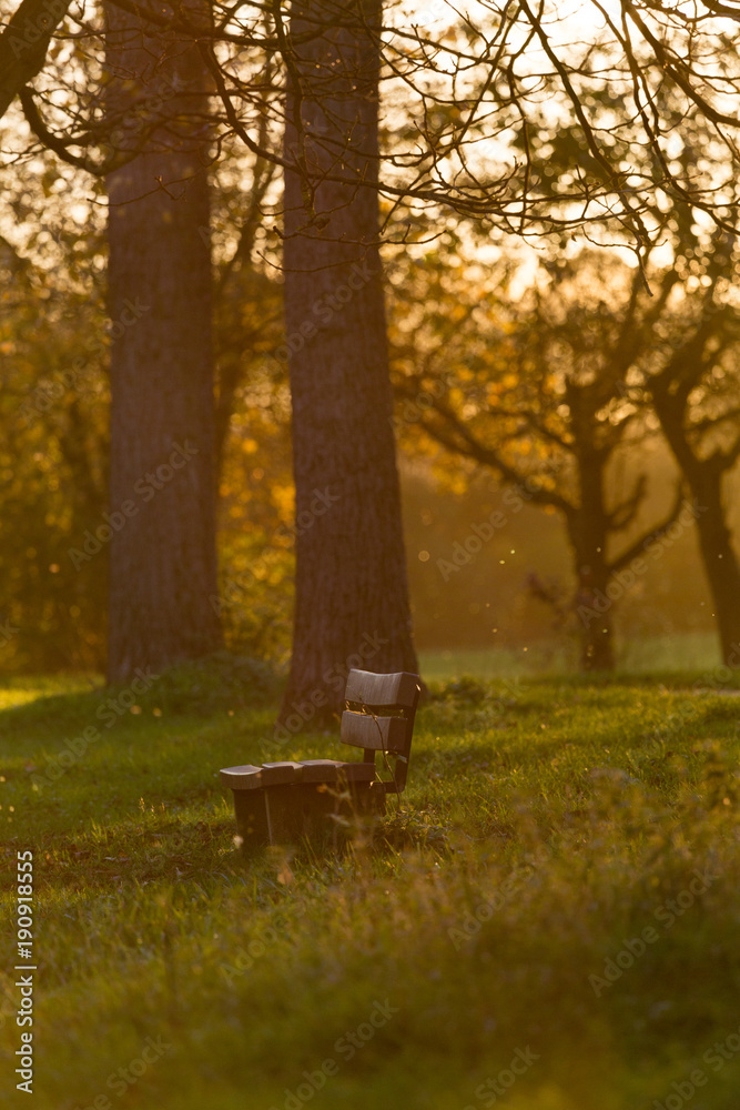 sunset in the park with a bench