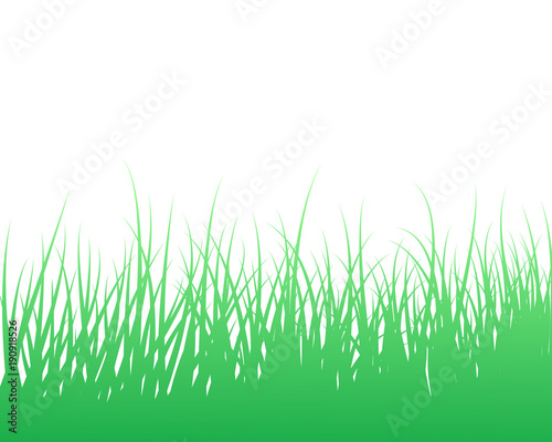 Grass silhouette vector illustration 