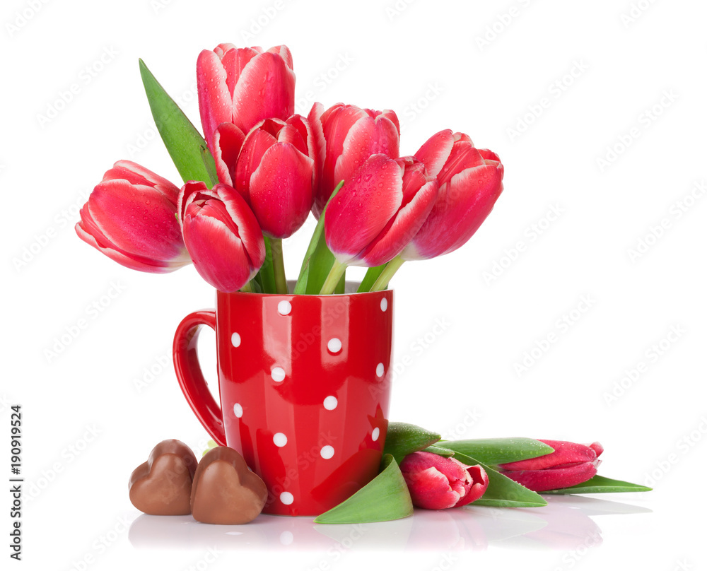 Fototapeta premium Red tulip flowers