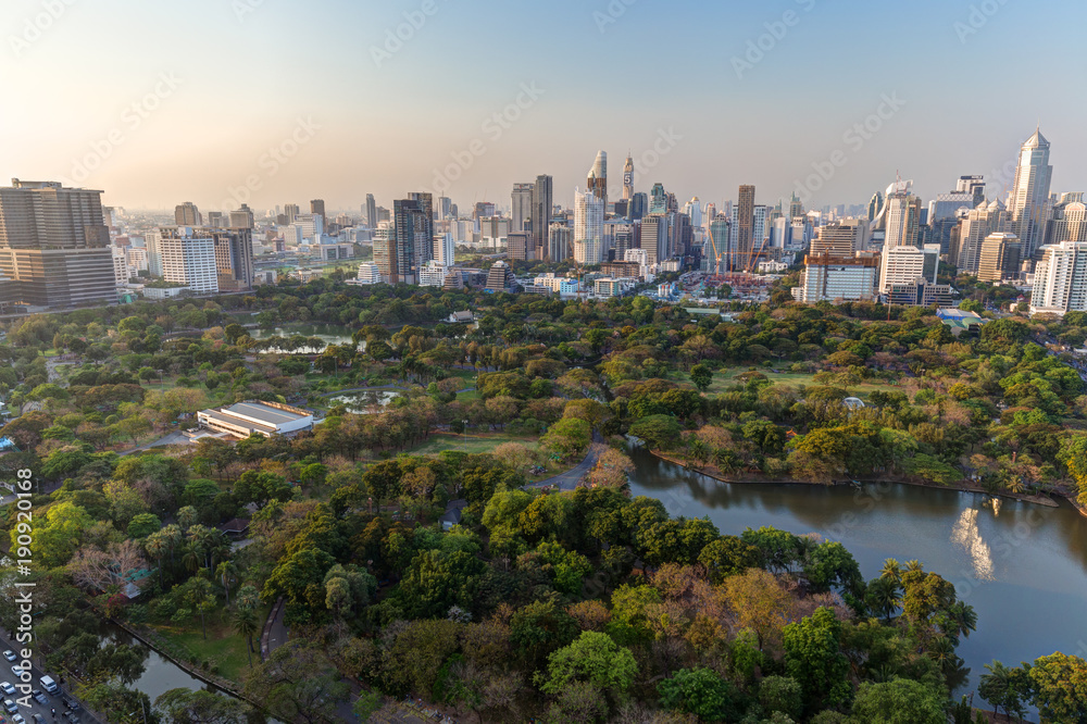 Scenic view of the Lumpini (Lumphini) Park and Bangkok city in Thailand from above.