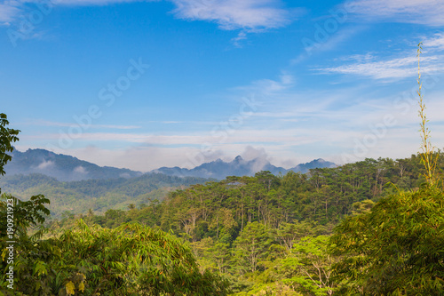 View to jungle from Punthuk Setumbu viewpoint near Yogyakarta city  Java  Indonesia