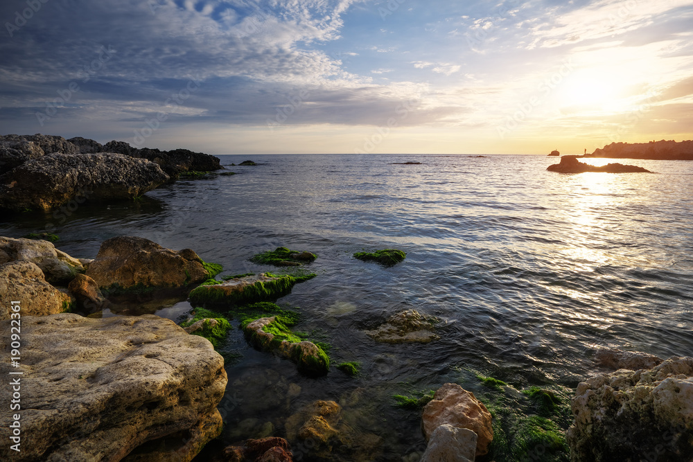 Obraz premium Beautiful landscape with stones and moss in the sea at sunset in the Crimea