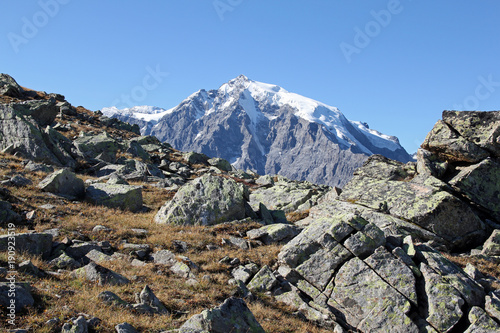 Blick auf König Ortler (3.905 m)