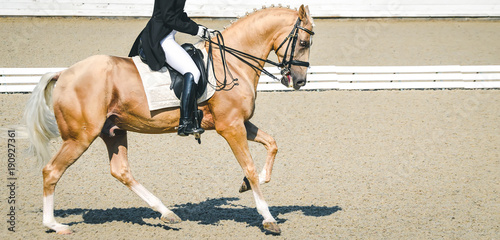 Elegant rider woman and horse. Beautiful girl at advanced dressage test on equestrian competition. Professional female horse rider, equine theme. Saddle, bridle, boots, other details.